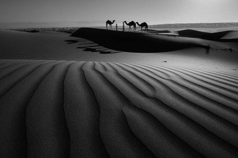 Bidiyah_Sand_Dunes
